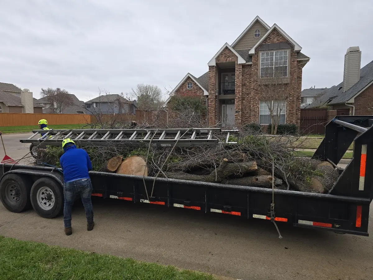 Expert Tree Fertilization with proper safety equipment in Grover